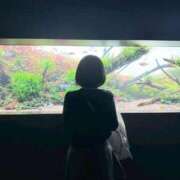 ヒメ日記 2026/07/01 19:30 投稿 もね 黒い金魚（札幌）