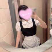 ヒメ日記 2026/08/04 13:20 投稿 もね 黒い金魚（札幌）