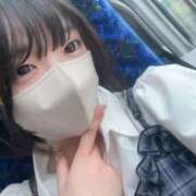 ヒメ日記 2026/08/15 07:40 投稿 もね 黒い金魚（札幌）