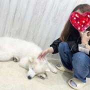 ヒメ日記 2025/10/15 16:30 投稿 とも 若妻LOVE