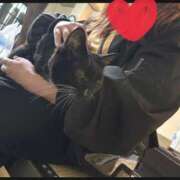 ヒメ日記 2025/11/28 09:44 投稿 とも 若妻LOVE