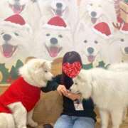 ヒメ日記 2025/11/29 15:45 投稿 とも 若妻LOVE