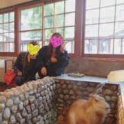 ヒメ日記 2025/11/30 11:01 投稿 とも 若妻LOVE