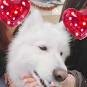 ヒメ日記 2025/12/01 21:59 投稿 とも 若妻LOVE