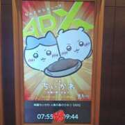ヒメ日記 2026/09/05 10:38 投稿 とも 若妻LOVE