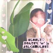 ヒメ日記 2025/04/26 14:48 投稿 かのん 横浜人妻セレブリティ（ユメオト）