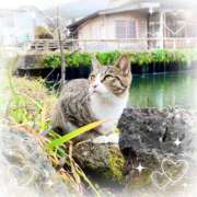 ヒメ日記 2025/05/27 18:00 投稿 かのん 横浜人妻セレブリティ（ユメオト）