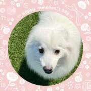 ヒメ日記 2025/06/05 08:45 投稿 かのん 横浜人妻セレブリティ（ユメオト）