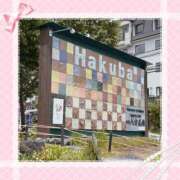 ヒメ日記 2025/06/07 07:30 投稿 かのん 横浜人妻セレブリティ（ユメオト）