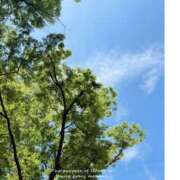 ヒメ日記 2025/06/27 17:20 投稿 かのん 横浜人妻セレブリティ（ユメオト）