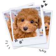 ヒメ日記 2025/07/04 07:20 投稿 かのん 横浜人妻セレブリティ（ユメオト）