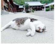 ヒメ日記 2025/07/06 08:00 投稿 かのん 横浜人妻セレブリティ（ユメオト）