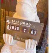 ヒメ日記 2025/07/07 17:20 投稿 かのん 横浜人妻セレブリティ（ユメオト）