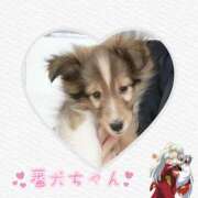 ヒメ日記 2025/07/14 08:04 投稿 かのん 横浜人妻セレブリティ（ユメオト）