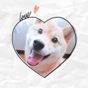 ヒメ日記 2025/07/21 07:20 投稿 かのん 横浜人妻セレブリティ（ユメオト）