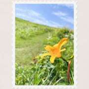 ヒメ日記 2025/08/04 17:20 投稿 かのん 横浜人妻セレブリティ（ユメオト）