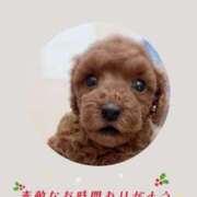 ヒメ日記 2025/12/13 17:30 投稿 かのん 横浜人妻セレブリティ（ユメオト）