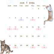 ヒメ日記 2025/12/23 17:30 投稿 かのん 横浜人妻セレブリティ（ユメオト）