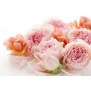 ヒメ日記 2026/03/24 17:30 投稿 かのん 横浜人妻セレブリティ（ユメオト）