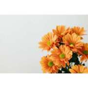 ヒメ日記 2026/03/28 20:01 投稿 かのん 横浜人妻セレブリティ（ユメオト）