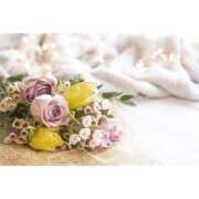 ヒメ日記 2026/03/31 17:30 投稿 かのん 横浜人妻セレブリティ（ユメオト）