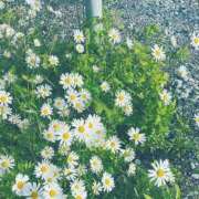 涼瀬あい(すずせあい) 出勤してます✿︎ 東京ヒストリー lettre d'amour