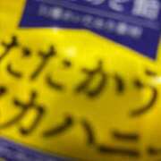 もえ ごめんなさい? CUTE