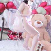 しろな 🐈‍⬛ 宵闇に溶ける猫 ‎🤍 Versailles