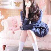 しろな 🐈‍⬛‎ 雪の名残りと、黒猫の目覚め 🤍 Versailles