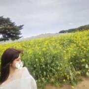 ヒメ日記 2026/05/13 17:21 投稿 しろな Versailles