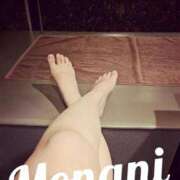 ヒメ日記 2025/11/04 21:19 投稿 モナミ秘書 秘書の品格 クラブアッシュ ヴァリエ