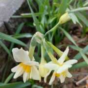 ヒメ日記 2026/02/13 14:48 投稿 上杉　ひろみ しゅうかつ倶楽部