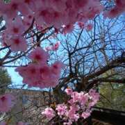 ヒメ日記 2026/03/21 14:58 投稿 上杉　ひろみ しゅうかつ倶楽部