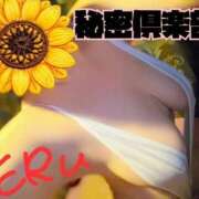 ヒメ日記 2026/07/31 00:55 投稿 える 横浜秘密倶楽部
