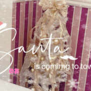 ヒメ日記 2025/12/24 00:03 投稿 のあ ふわもこ人妻ランド　那須塩原店