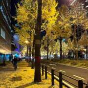 ヒメ日記 2025/12/06 06:31 投稿 足立まなみ MADAM