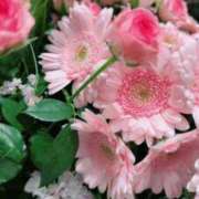 足立まなみ これから? MADAM