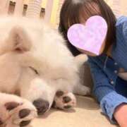 ヒメ日記 2025/11/04 19:54 投稿 みずき ラブストーリー池袋(ユメオト)