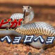 ヒメ日記 2025/06/03 10:42 投稿 しおん メンヘラ専門デリヘル ゼロワン 横浜本店