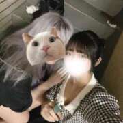 ヒメ日記 2025/09/15 14:12 投稿 しおん メンヘラ専門デリヘル ゼロワン 横浜本店