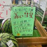 ヒメ日記 2025/10/24 09:52 投稿 しおん メンヘラ専門デリヘル ゼロワン 横浜本店