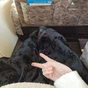 ヒメ日記 2025/11/15 09:04 投稿 七瀬　えみ クラブゴージャス 梅田店