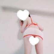 ヒメ日記 2025/11/22 07:44 投稿 七瀬　えみ クラブゴージャス 梅田店