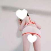 ヒメ日記 2026/01/26 09:44 投稿 七瀬　えみ クラブゴージャス 梅田店