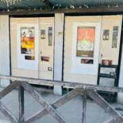 ヒメ日記 2026/01/27 16:18 投稿 涼川(すずかわ) 相模原人妻城