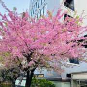 ヒメ日記 2026/03/06 16:18 投稿 涼川(すずかわ) 相模原人妻城