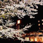 ヒメ日記 2026/04/01 17:33 投稿 涼川(すずかわ) 相模原人妻城