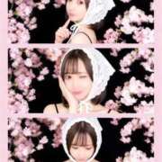 ヒメ日記 2026/04/16 10:23 投稿 みる ムーランルージュ