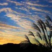 ヒメ日記 2025/10/11 09:22 投稿 かんな 熟女の風俗最終章 宇都宮店