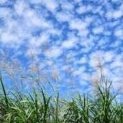 ヒメ日記 2025/10/14 09:23 投稿 かんな 熟女の風俗最終章 宇都宮店